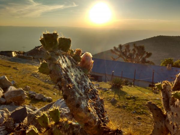 foto:Alfredo Ortiz Pérez - lo hecho en México
