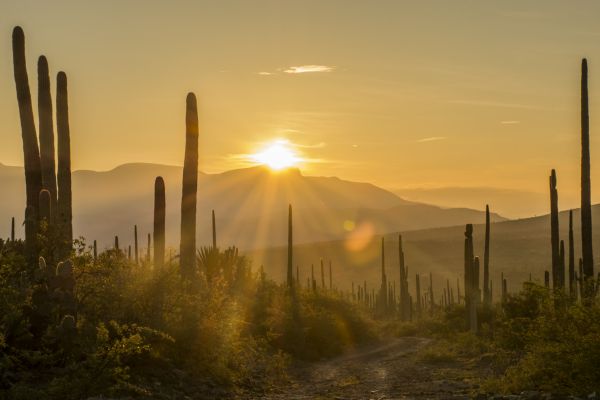 foto:Carla María Araiza Martínez - lo hecho en México