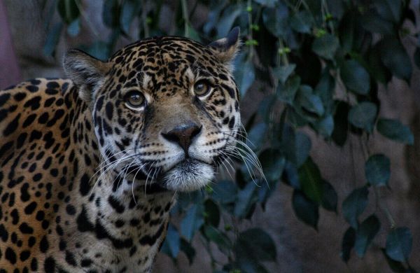 foto:Nicole Moran Lopez - lo hecho en México