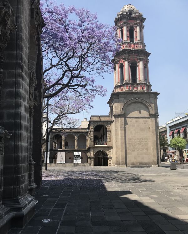 foto:Carlos Alfredo Huerta Mendoza - lo hecho en México