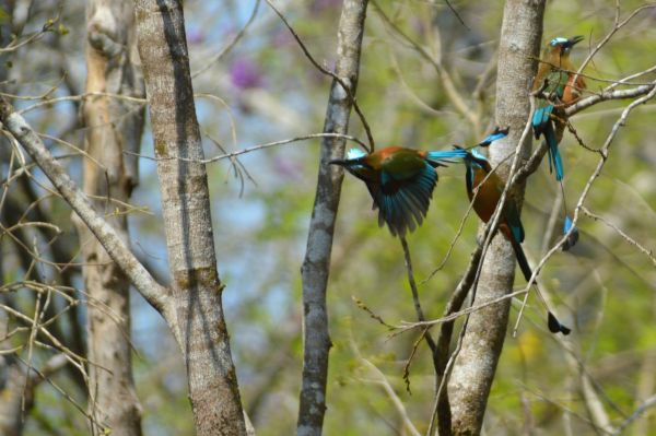 foto:Rodrigo Vázquez Celis - lo hecho en México