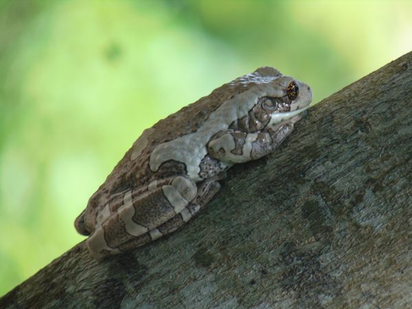 foto:Edier Ay  Peña - lo hecho en México