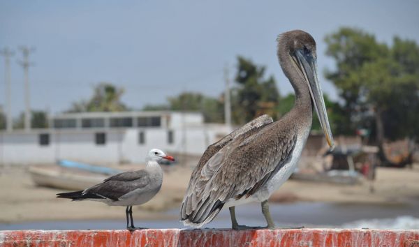 foto:oscar Castro Valdez - lo hecho en México