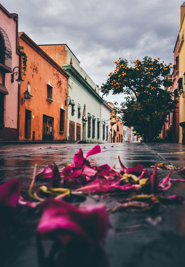 foto:Christian Lejarazu González - lo hecho en México