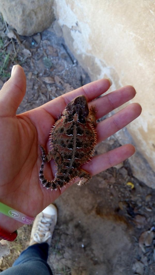 foto:Mari Carmen Cardenas Conde - lo hecho en México
