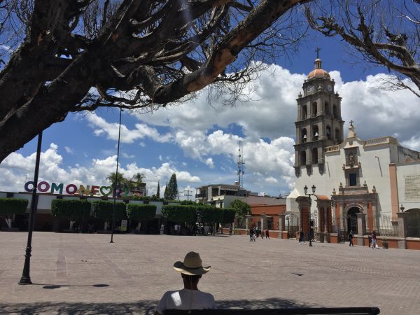 foto:Paola Rodríguez  Bárcenas  - lo hecho en México
