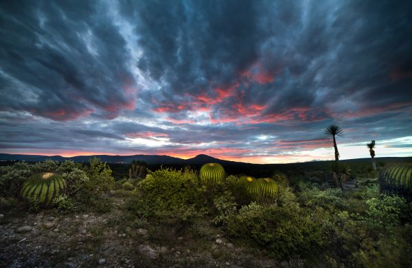 foto:Alejandro García  Villarruel - lo hecho en México