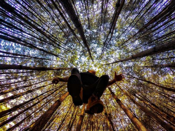 foto:Pedro Miranda cambron - lo hecho en México