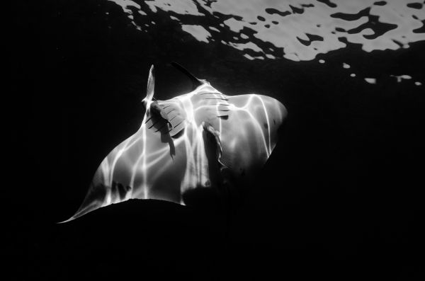 foto:Leonardo Gonzalez Salazar - lo hecho en México