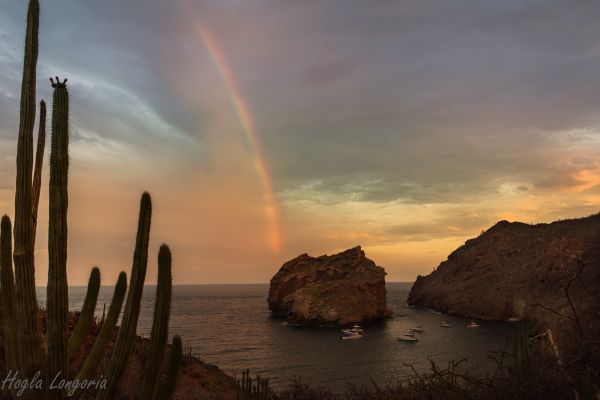 foto:Hogla Emericella Longoria Ponce - lo hecho en México
