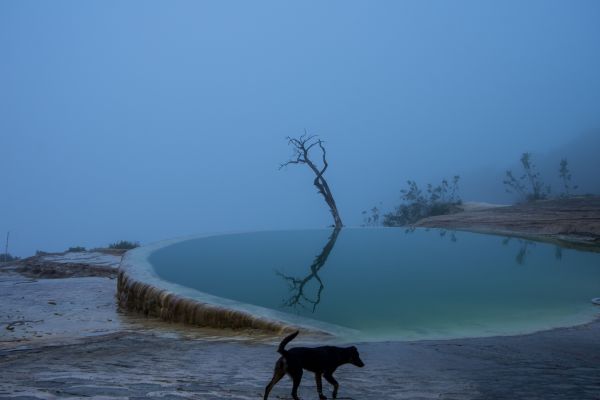 foto:Felipe Roman Enriquez - lo hecho en México