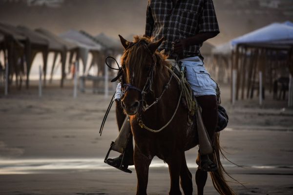 foto:Andrea Ibarra Gómez - lo hecho en México