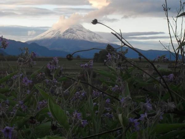 foto:Silvia Angélica  Flores Gordillo - lo hecho en México