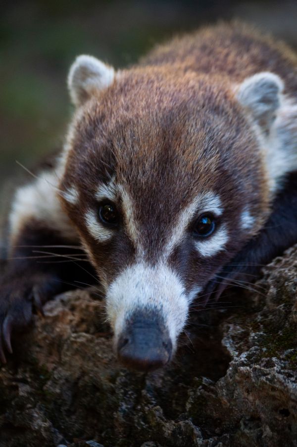 foto:Samanta Gissell Saldivar Sánchez - lo hecho en México