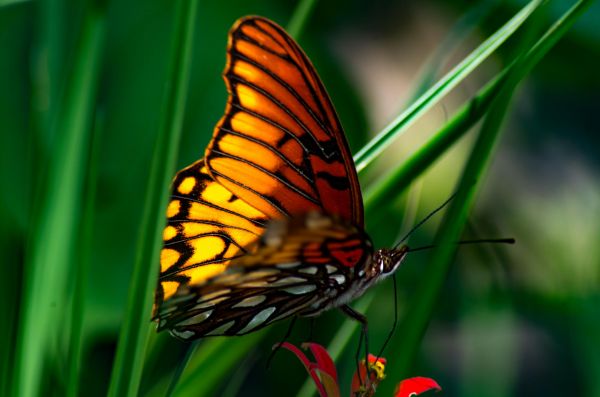 foto:abimael sebastian beaz - lo hecho en México