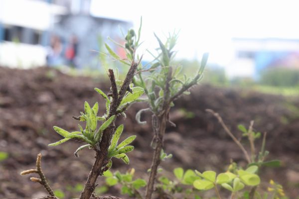 foto:Carlos Kevin Ramírez Acosta - lo hecho en México