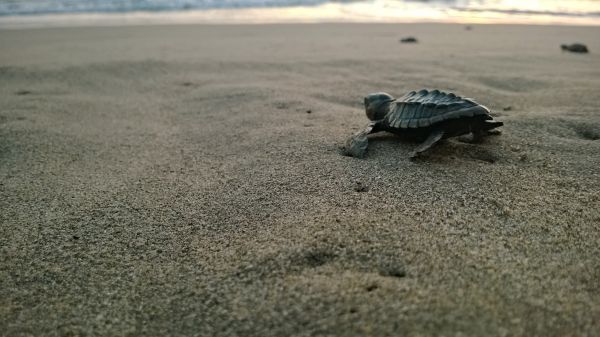 foto:Chrystyan Germán  Mora  González  - lo hecho en México