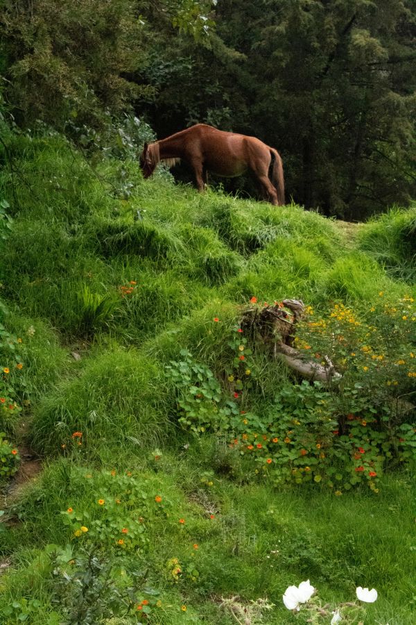 foto:Alexis Montiel Olvera - lo hecho en México