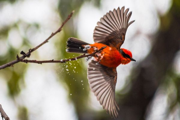 foto:Francisco Jesús González Velázquez - lo hecho en México