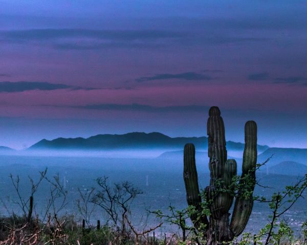 foto:Héctor Bretón Velázquez - lo hecho en México