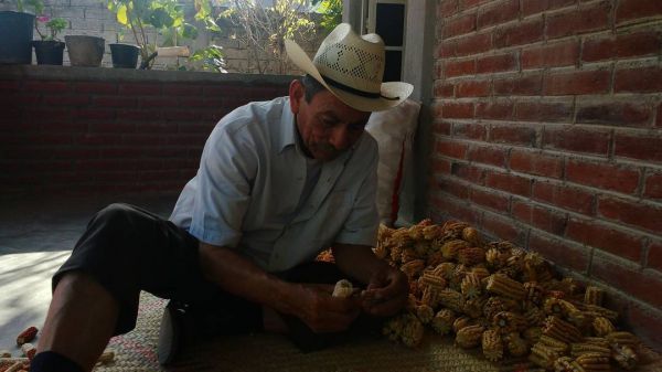 foto:Altair Yurame  Sarabia  Serrano  - lo hecho en México