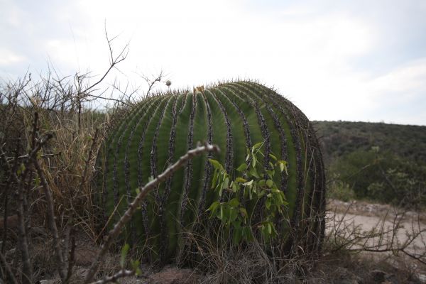 foto:Aram Francisco Cortés Nava - lo hecho en México