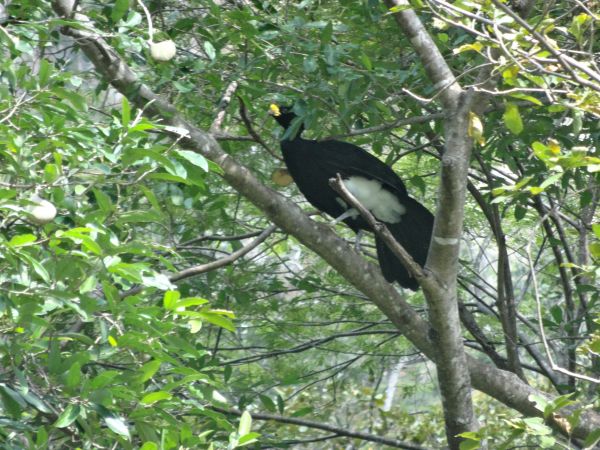 foto:EXAL ESAU  LOPEZ MEJIA - lo hecho en México