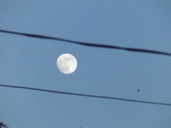 foto:adolfo  martinez hernandez - lo hecho en México