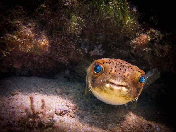 foto:TANIA NACIF IÑIGO - lo hecho en México