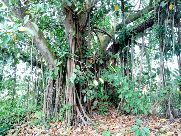 foto:Marco Antonio Durán Rodríguez - lo hecho en México