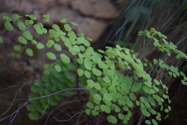 foto:America Tellez  Ramirez - lo hecho en México