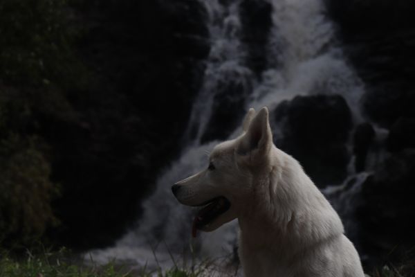 foto:Daniela  Estrada  Torres  - lo hecho en México
