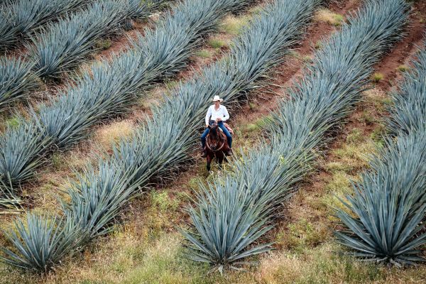 foto:David Manuel García  Sandoval - lo hecho en México