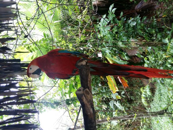 foto:Juan Mardonio Perez Perez - lo hecho en México
