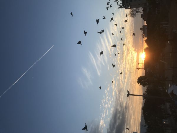 foto:Marco Antonio Arguello  Meza - lo hecho en México