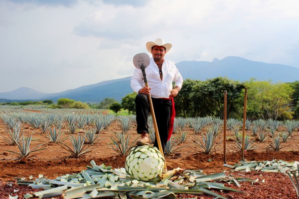 foto:Alejandro Castro Rivera - lo hecho en México