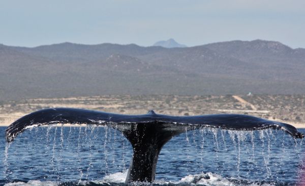 foto:Paulina Saucedo Mora - lo hecho en México