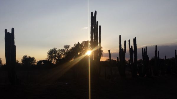 foto:Ricardo Pantoja Cordero - lo hecho en México