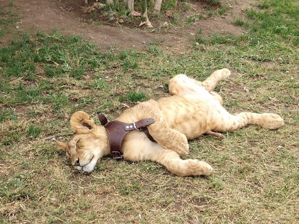foto:Braulio Alejandro Navarrete Horta - lo hecho en México