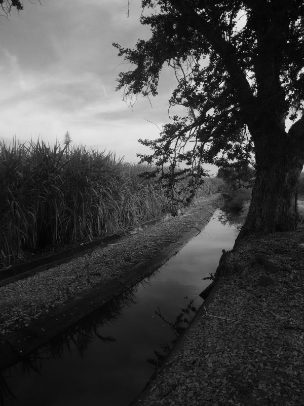foto:Benjamín Hernandez Bahena - lo hecho en México