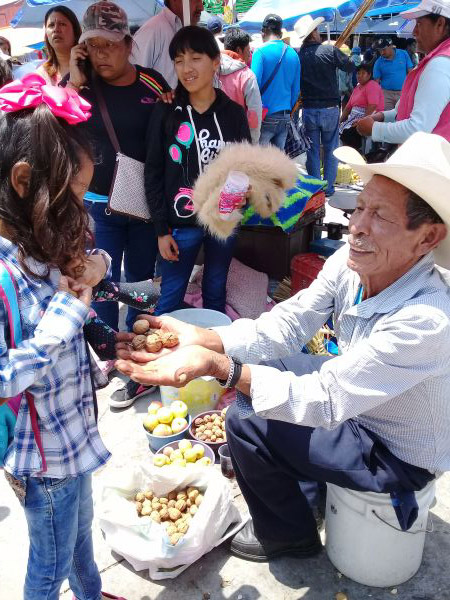 foto:Karina  De Gante Hernández - lo hecho en México