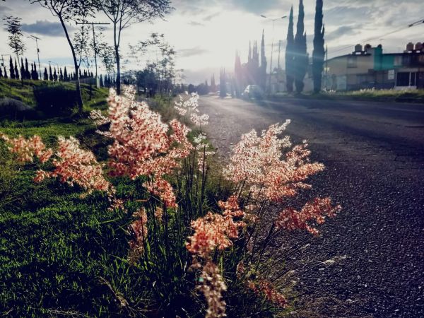 foto:Ivan Castillo Solar - lo hecho en México