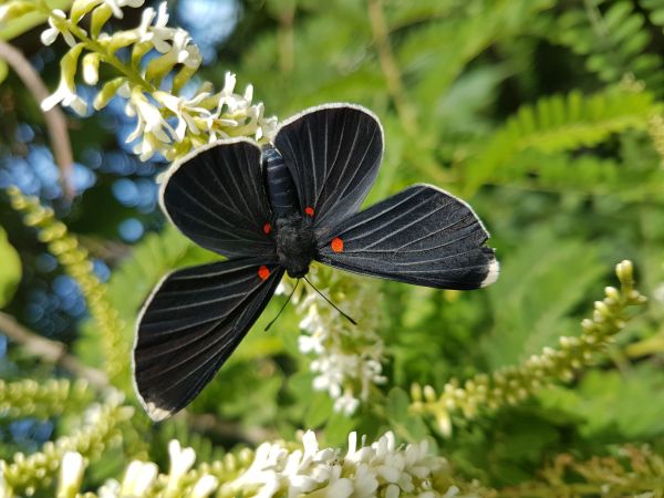 foto:jonathan ventura ortega - lo hecho en México