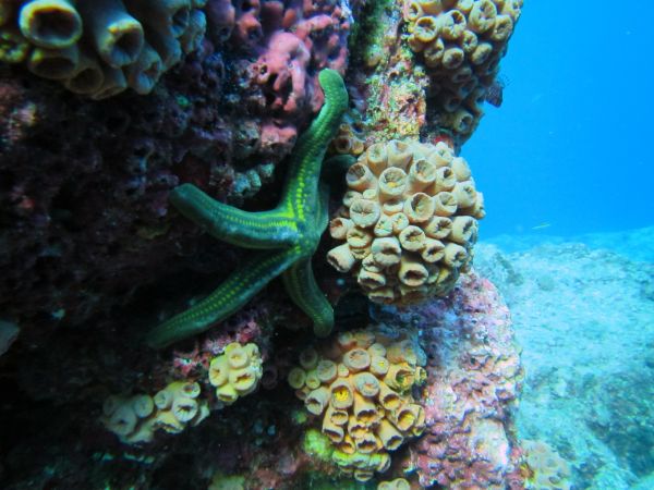 foto:Violeta Martínez Castillo - lo hecho en México