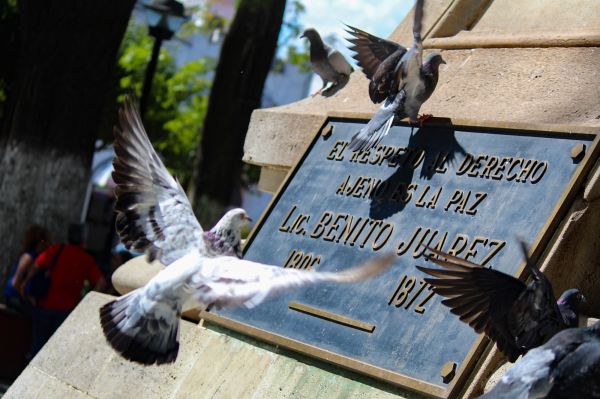 foto:Aldo Osnar Gómez Lara - lo hecho en México