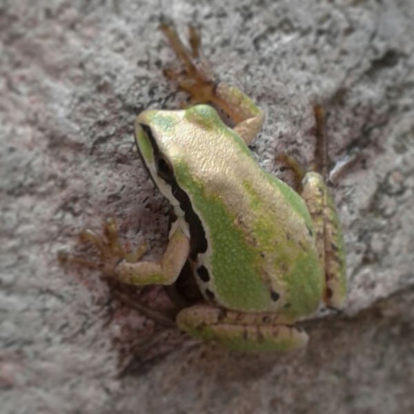 foto:Sinai Aguilar Cruz - lo hecho en México