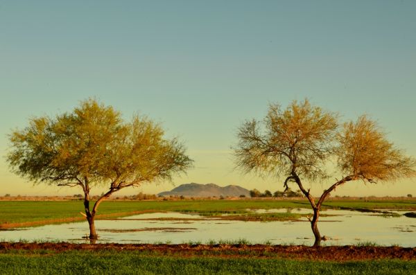 foto:Veronica Gamboa Brambila - lo hecho en México