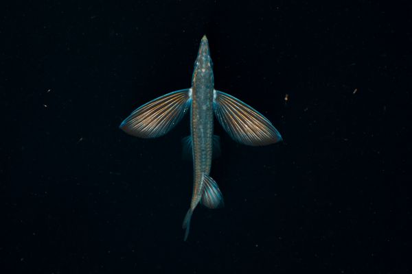 foto:carlos  gajon bermudez - lo hecho en México