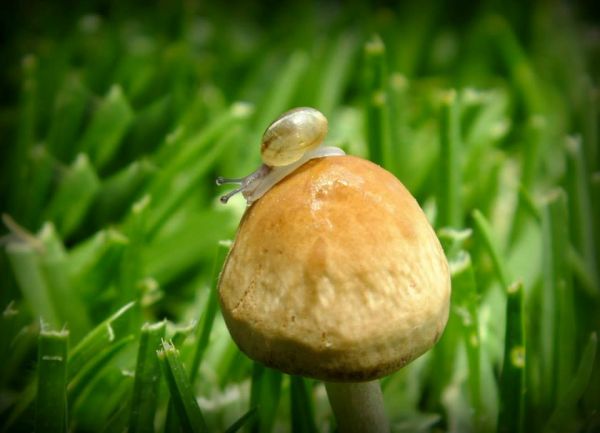 foto:Tanya  Salum Szymanski - lo hecho en México