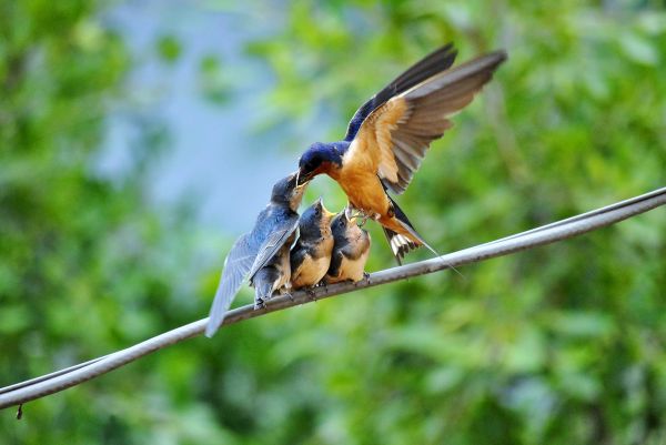 foto:Jorge Rebing Carmona - lo hecho en México